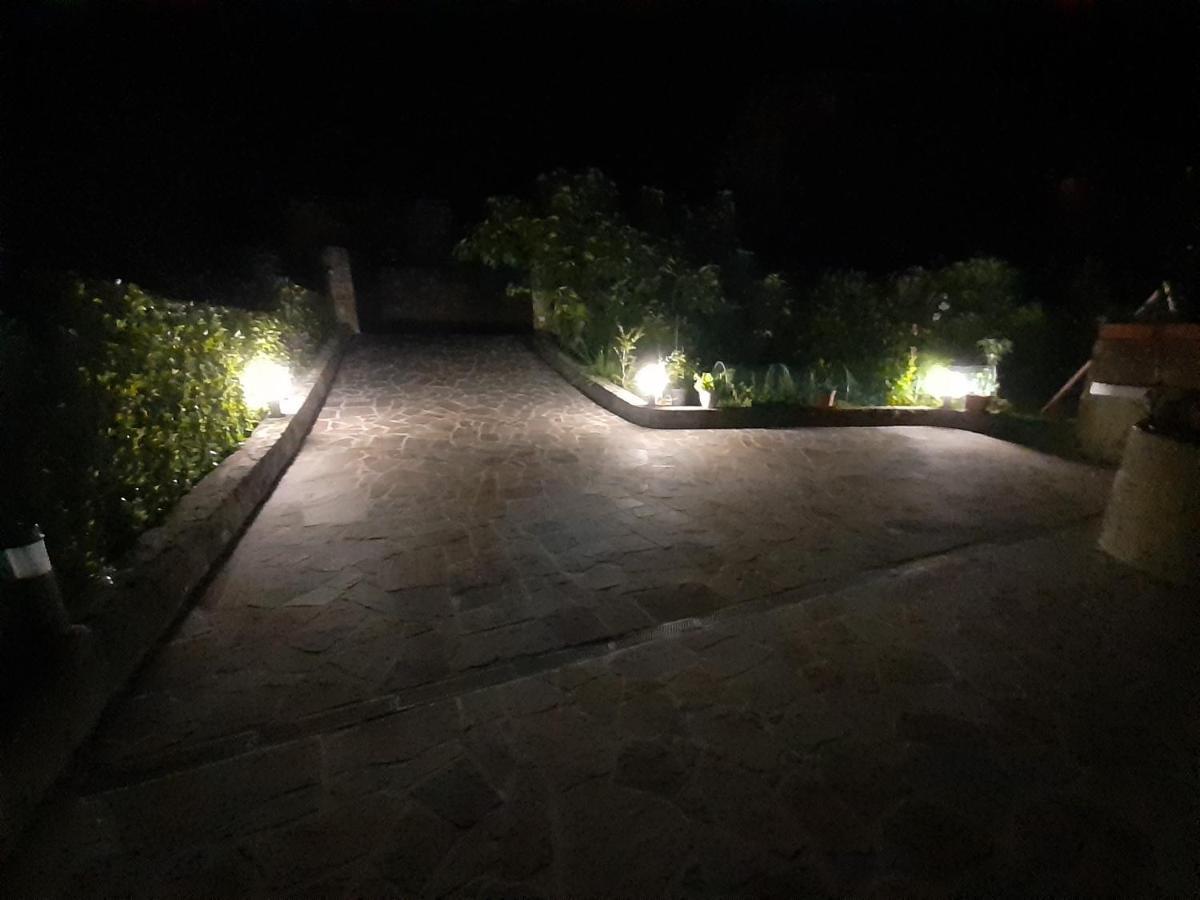 Apartma Olea Sared