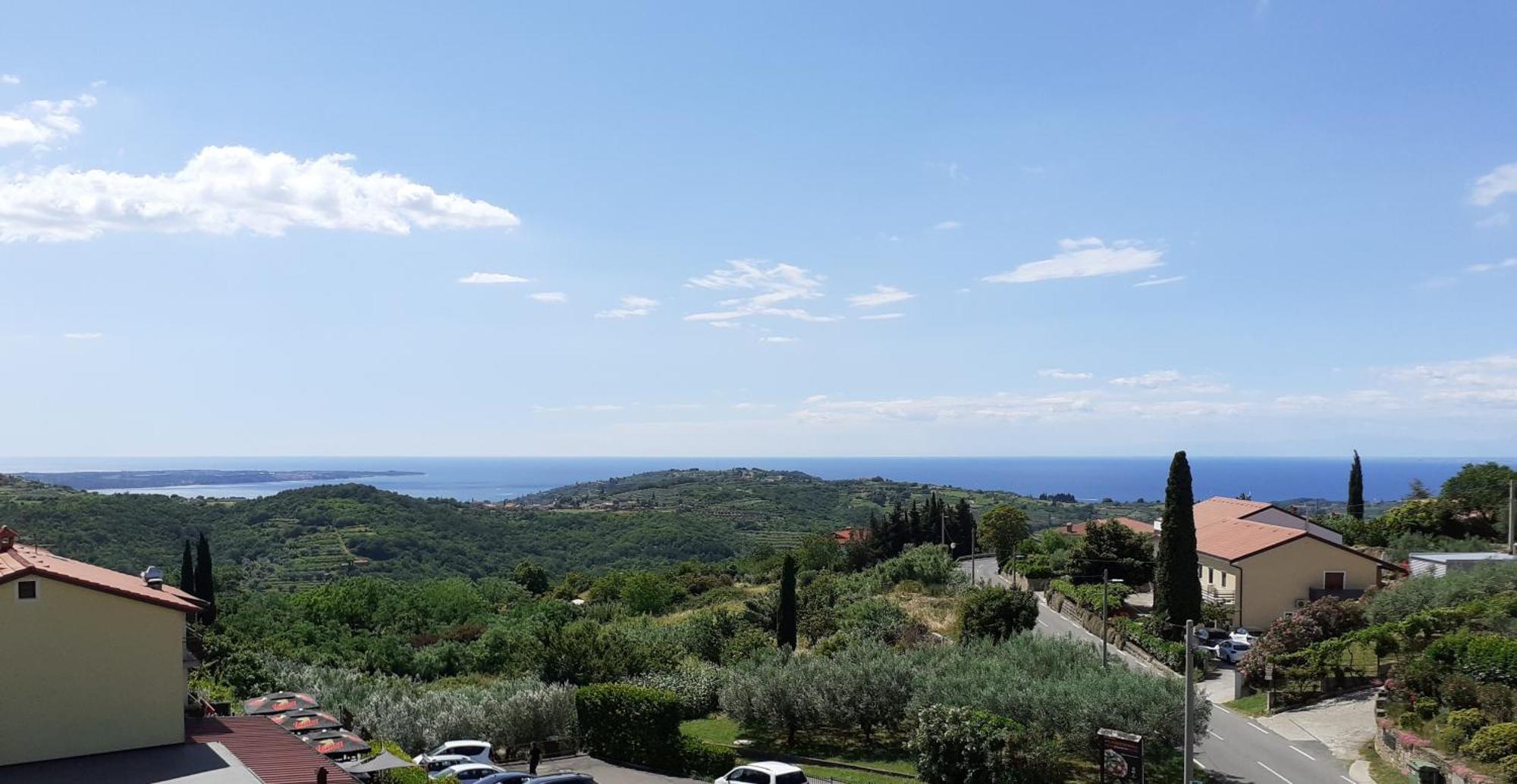 Apartma Olea Sared * Izola