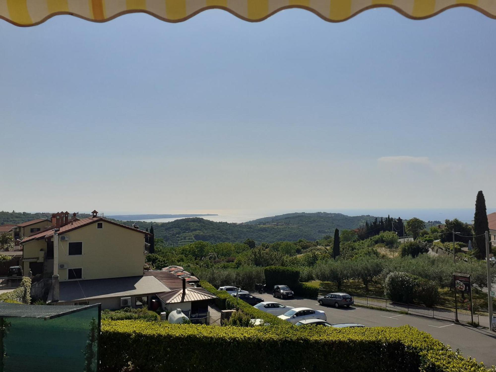 Apartment Apartma Olea Sared