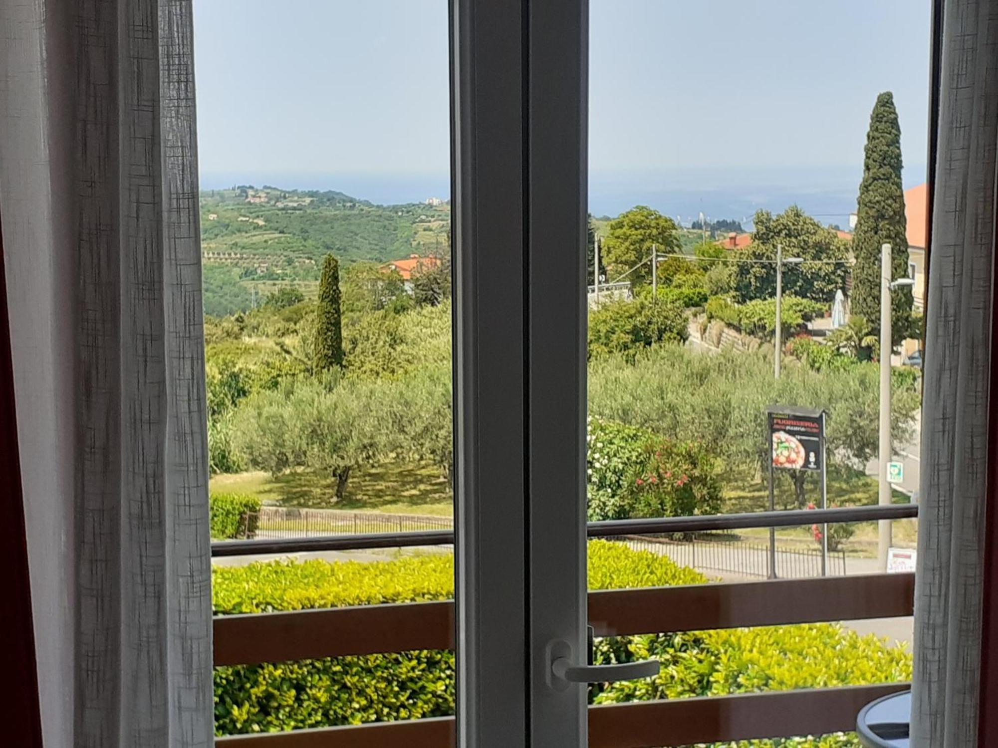 Apartma Olea Sared *